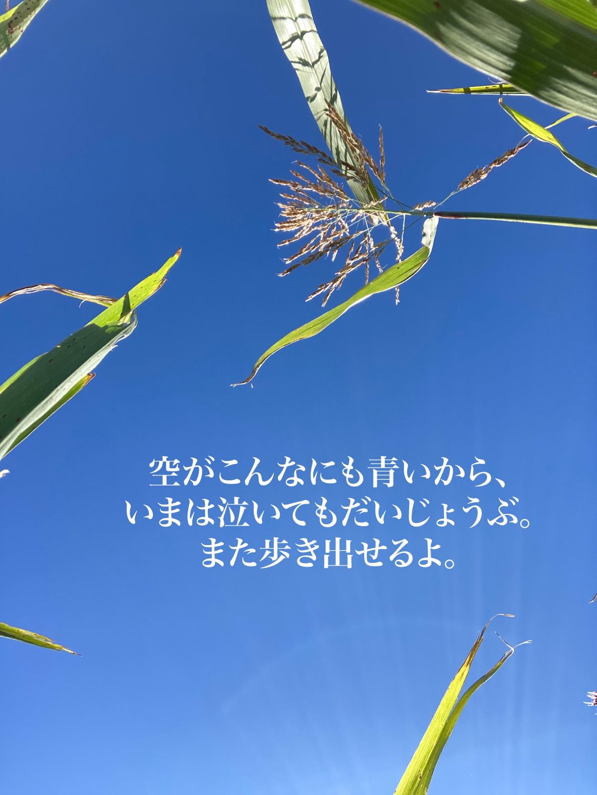 よくここまでがんばったね。