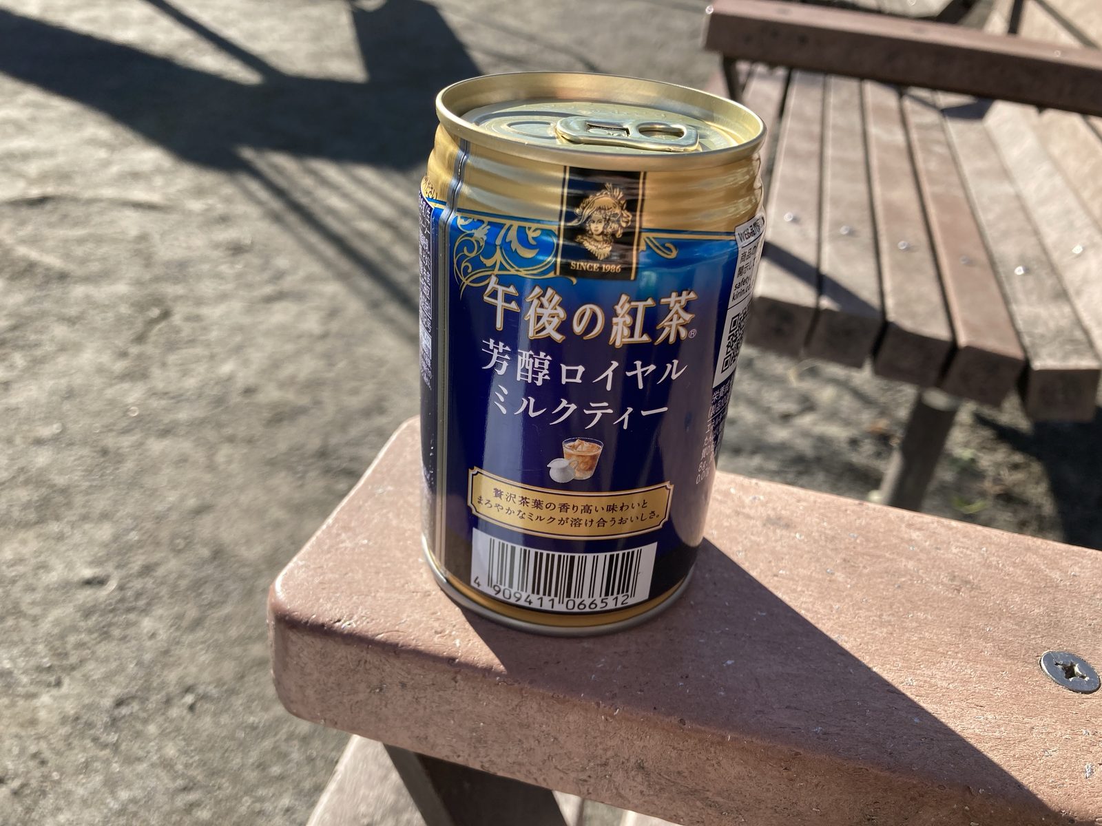 【双極性障害】躁でイライラしたから散歩に行きました