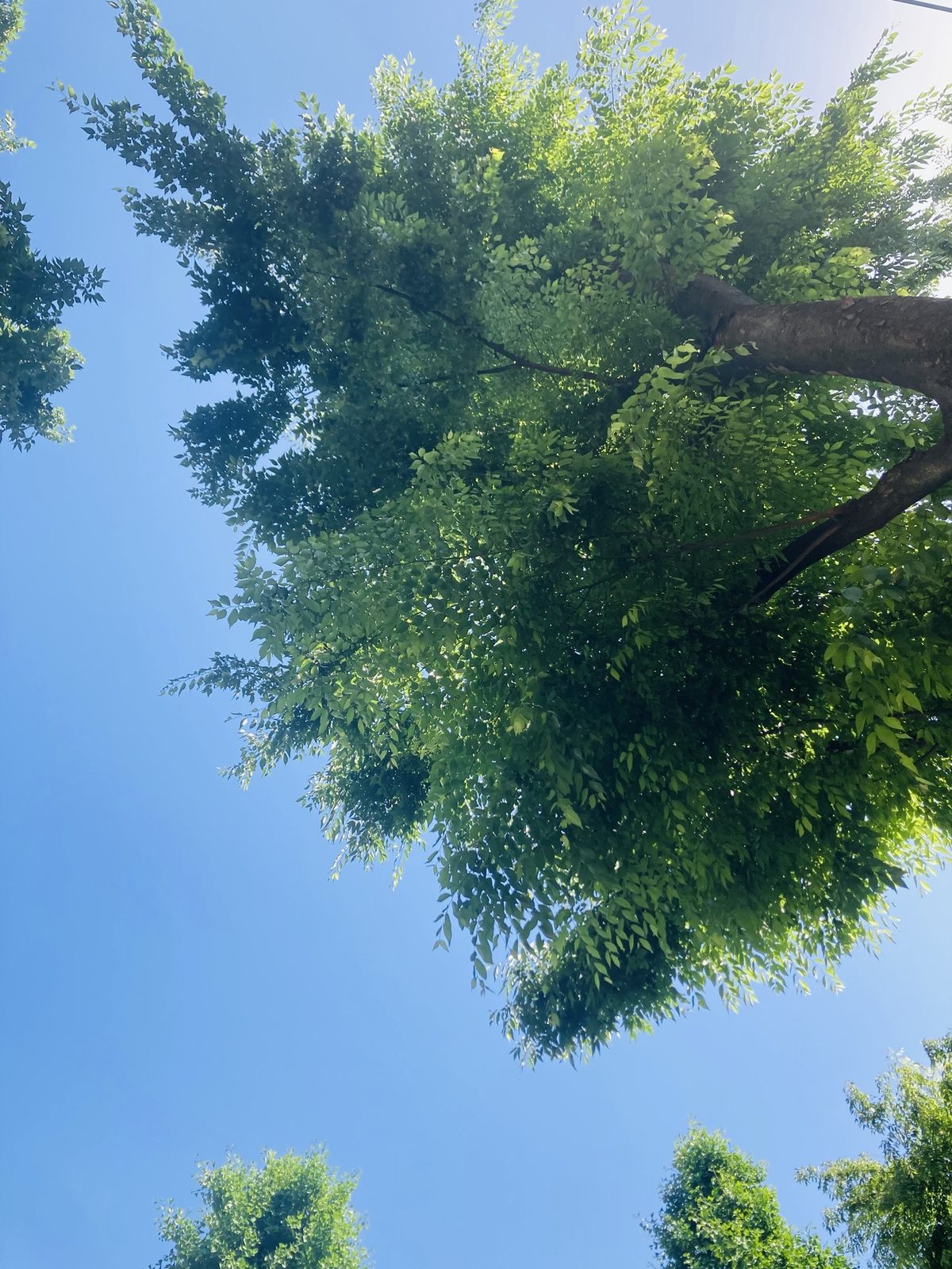 空が青くてさ
