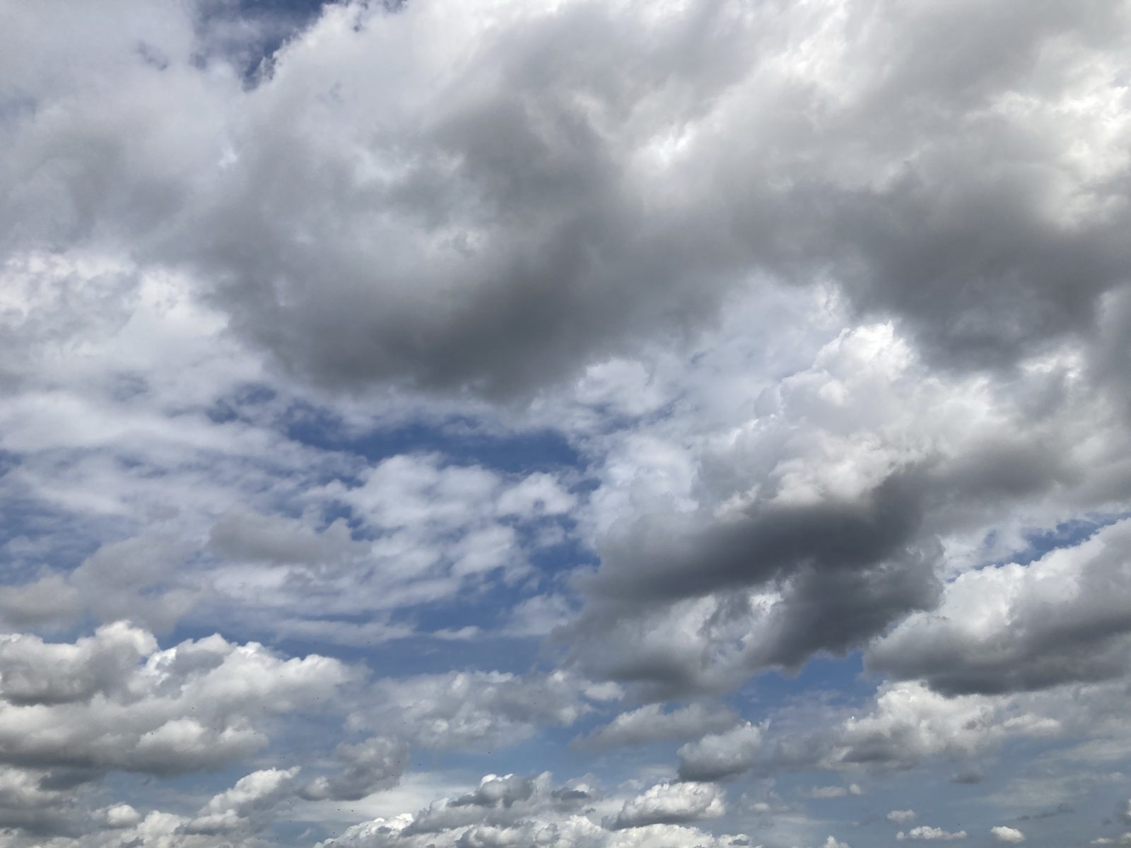 空も曇ってる